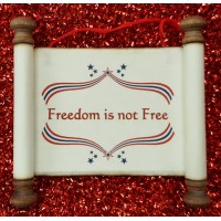 Freedom is Not Free